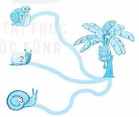 Vở bài tập Toán lớp 4 Tập 2 trang 69 Bài 3