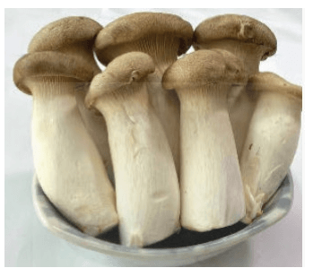 Đề thi GHK2 Lớp 4 môn Khoa học