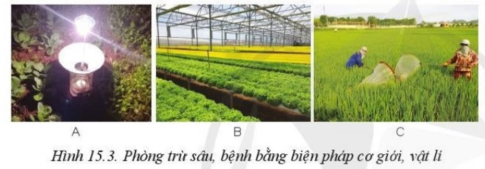 Lý thuyết công nghệ 10