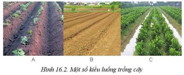 lý thuyết công nghệ 10