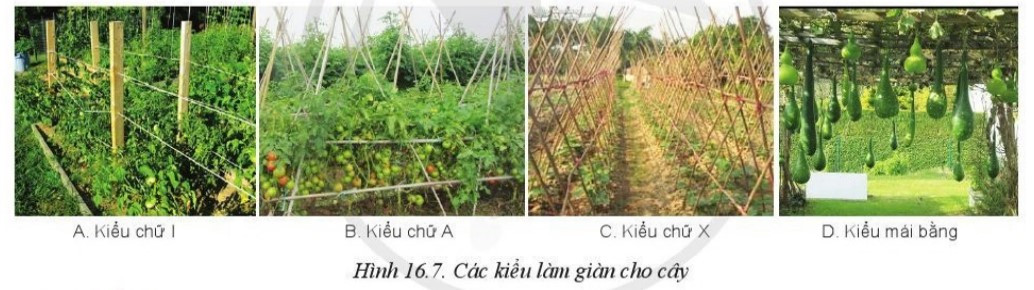lý thuyết công nghệ 10