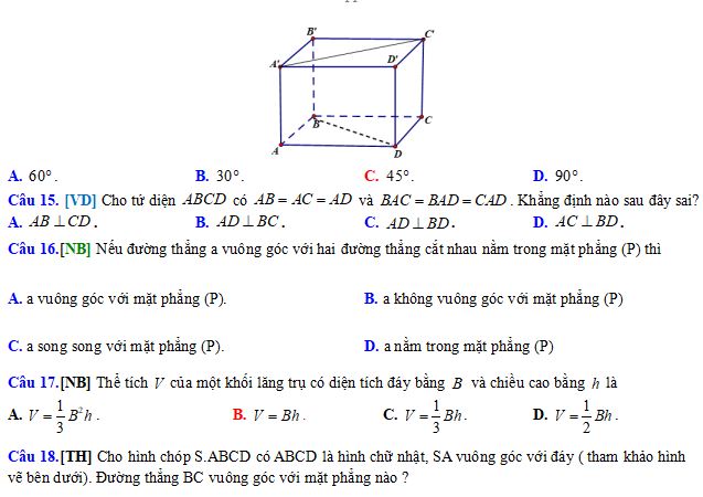 Đề thi học kì 1 lớp 11 môn Toán Kết nối tri thức