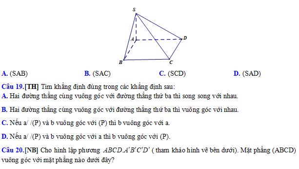 Đề thi học kì 1 lớp 11 môn Toán Kết nối tri thức