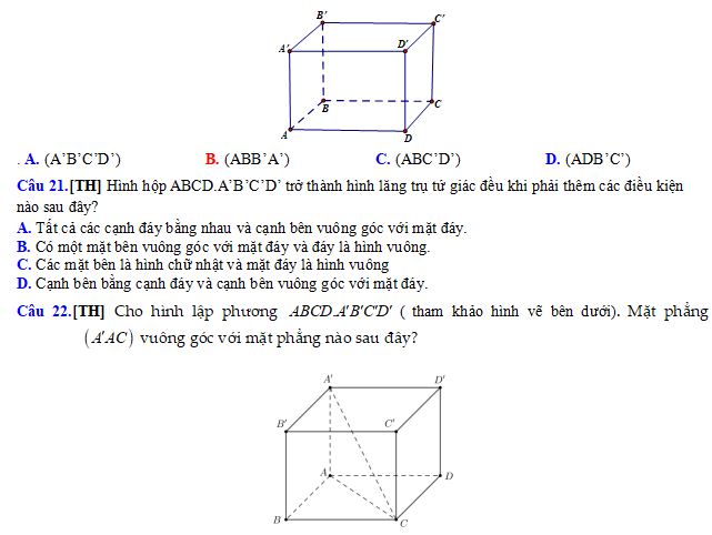 Đề thi học kì 1 lớp 11 môn Toán Kết nối tri thức