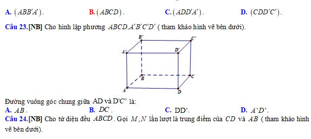Đề thi học kì 1 lớp 11 môn Toán Kết nối tri thức