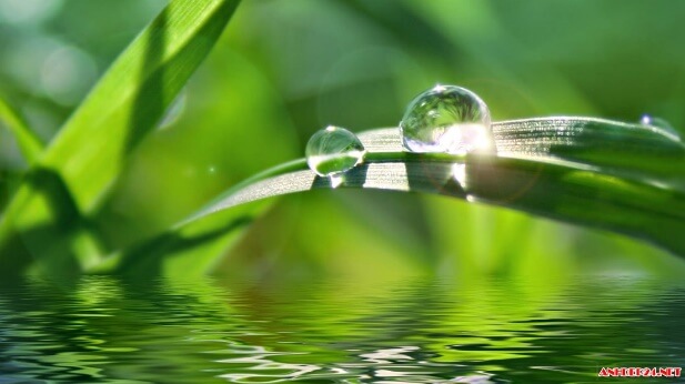 Bài tập cuối tuần Tiếng Việt lớp 3 Tuần 28 Kết nối tri thức