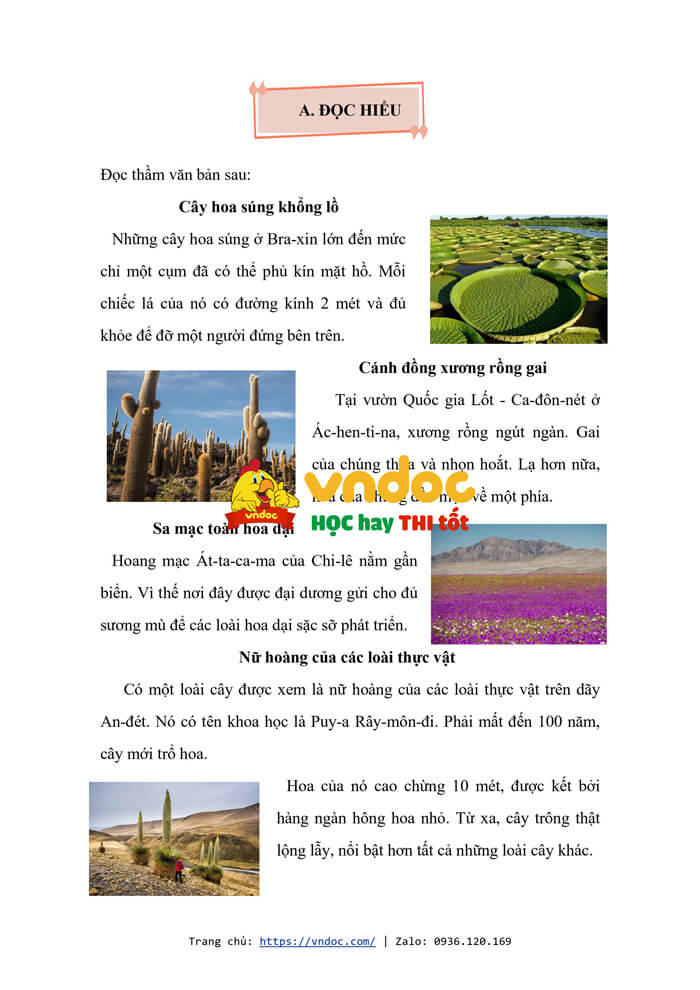 bai tap cuoi tuan tieng viet lop 4 chan troi sang tao tuan 28 h2*580779