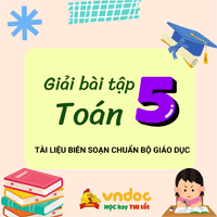 Toán lớp 5 trang 164, 165: Luyện tập phép chia