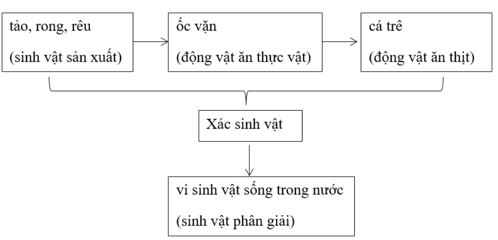Sinh học 9 bài 51