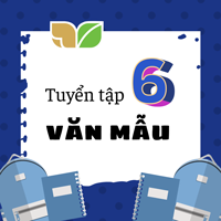 Văn mẫu lớp 6 KNTT