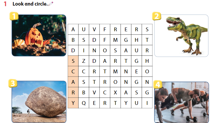 Sách bài tập Tiếng Anh lớp 4 Wonderful World Unit 11 Lesson 2