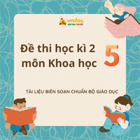 19 đề thi học kì 2 môn Khoa học lớp 5 năm 2024 - 2025 Tải nhiều