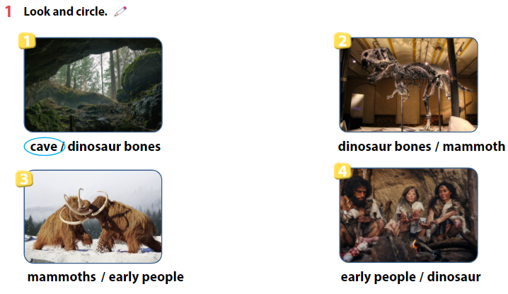 Sách bài tập Tiếng Anh lớp 4 Wonderful World Unit 11 Lesson 3