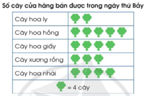 Toán 4 Cánh diều