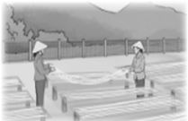 Vở bài tập Toán lớp 4 Tập 2 trang 85 Bài 5