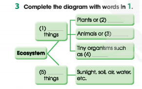 Tiếng Anh 11 Global Success Unit 10 Getting Started