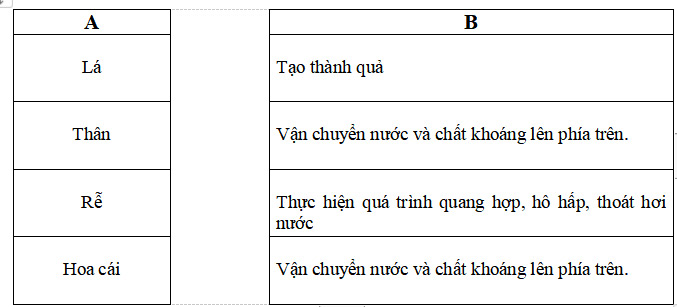 Đề thi học kì 2 môn Khoa học lớp 4