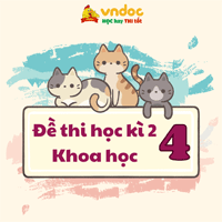 Đề thi học kì 2 môn Khoa học lớp 4 sách Cánh diều - Đề 2