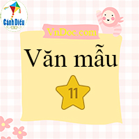 Viết đoạn văn về một cảnh đẹp của quê hương em