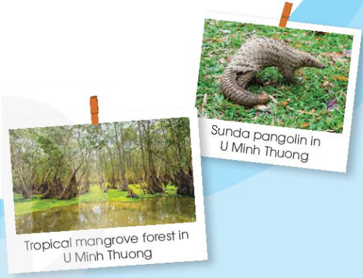 Tiếng Anh 11 Global Success Unit 10 Reading