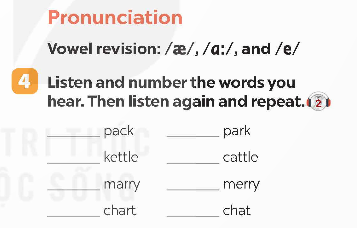 Tiếng Anh 9 Global Success Unit 1 A Closer Look 1