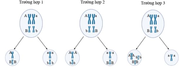 Đề thi thử bám sát đề minh họa 2024 môn Sinh