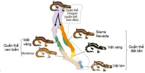 Đề thi thử bám sát đề minh họa 2024 môn Sinh