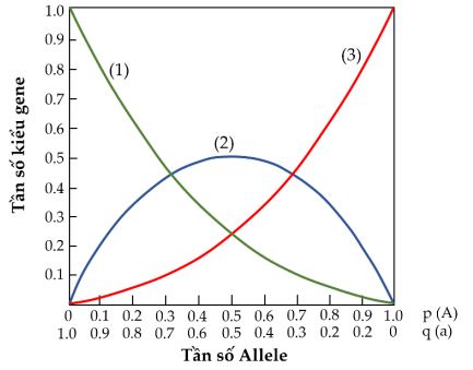 đề thi thử bám sát đề minh họa 2024 môn Sinh