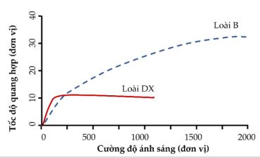 Đề thi thử bám sát đề minh họa 2024 môn Sinh