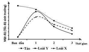 Đề thi thử bám sát đề minh họa 2024 môn Sinh