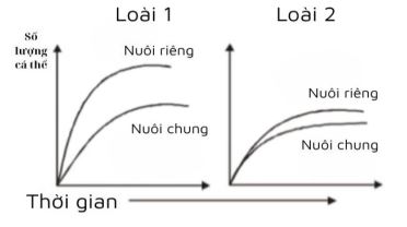 Đề thi thử bám sát đề minh họa 2024 môn Sinh