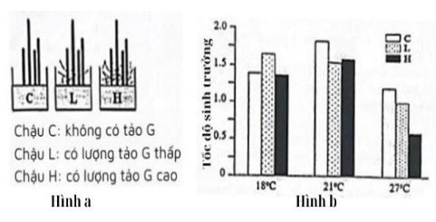 Đề thi thử bám sát đề minh họa 2024 môn Sinh