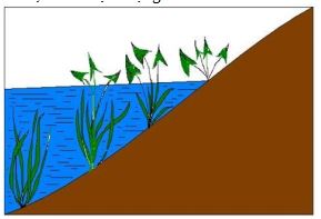 Đề thi thử bám sát đề minh họa 2024 môn Sinh
