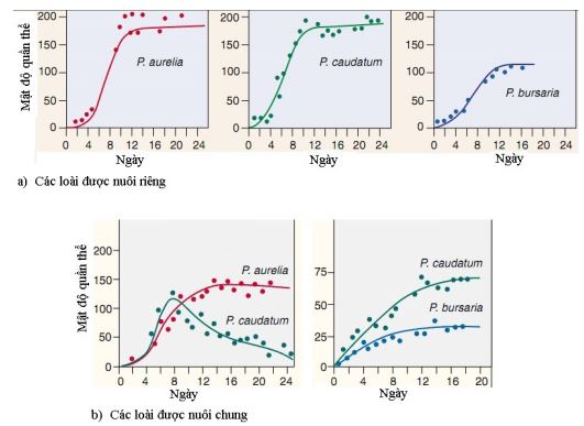 đề thi thử bám sát đề minh họa 2024 môn Sinh