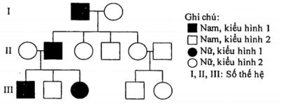Đề thi thử bám sát đề minh họa 2024 môn Sinh