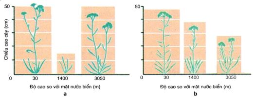 Đề thi thử bám sát đề minh họa 2024 môn Sinh