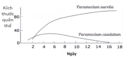Đề thi thử bám sát đề minh họa 2024 môn Sinh