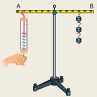 Từ kết quả thí nghiệm ở Hình 19.1 SGK KHTN 8