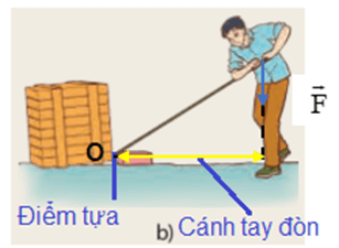 Xác định điểm tựa, cánh tay đòn trong các trường hợp