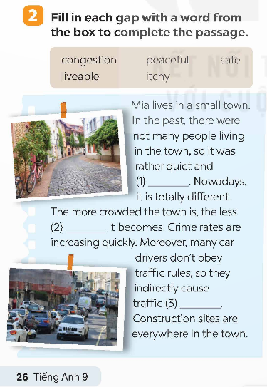 Tiếng Anh 9 Global Success Unit 2 Looking back