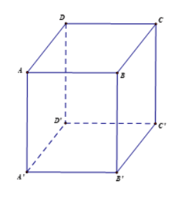 Giải Toán 12 trang 50