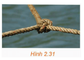 Giải Toán 12 trang 59