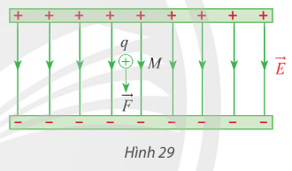 Giải Toán 12 trang 51 Chân trời