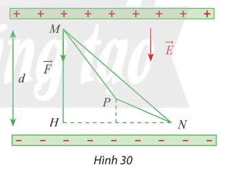 Giải Toán 12 trang 51 Chân trời