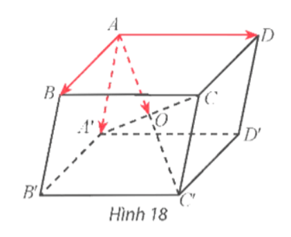 Giải Toán 12 trang 46 Chân trời