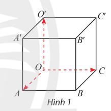 Giải Toán 12 trang 52 Chân trời