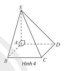 Giải Toán 12 trang 53 Chân trời