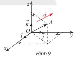 Giải Toán 12 trang 54 Chân trời