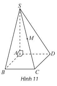 Giải Toán 12 trang 56 Chân trời