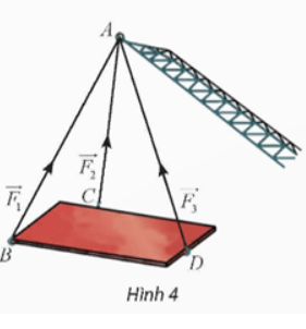 Giải Toán 12 trang 43 Chân trời